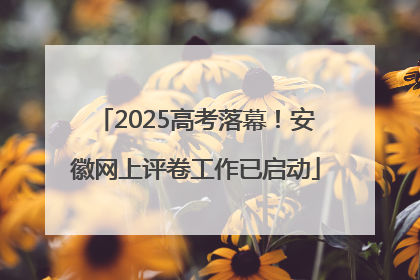 2025高考落幕！安徽网上评卷工作已启动