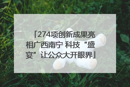 274项创新成果亮相广西南宁 科技“盛宴”让公众大开眼界
