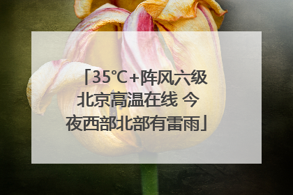 35℃+阵风六级 北京高温在线 今夜西部北部有雷雨