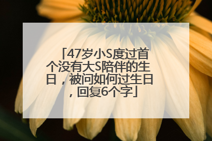 47岁小S度过首个没有大S陪伴的生日，被问如何过生日，回复6个字