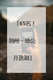 65名！荆州一地公开选调