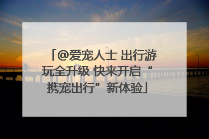 @爱宠人士 出行游玩全升级 快来开启“携宠出行”新体验