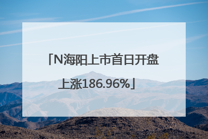 N海阳上市首日开盘上涨186.96%
