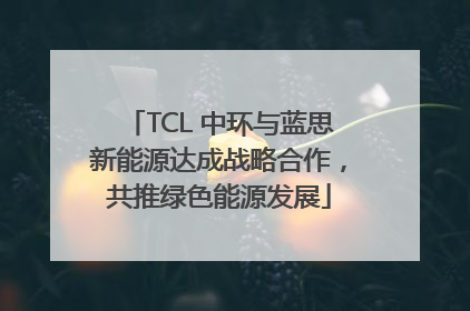 TCL 中环与蓝思新能源达成战略合作，共推绿色能源发展